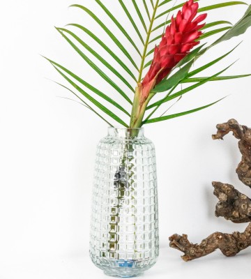 Vase & Échantillon de jungle