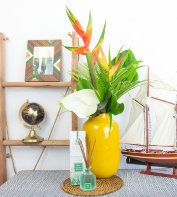 Duo Mango - Diffuseur