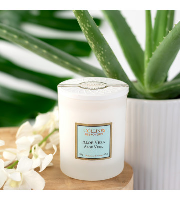 Duo Aloe Vera · Bougie parfumée Aloe Vera · Collines de Provence · 180g