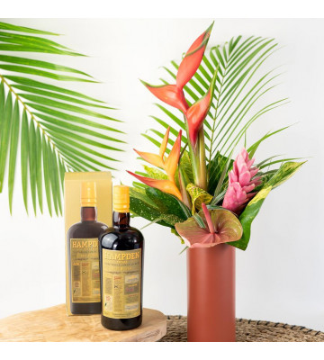 Duo Rumba & rhum vieux Hampden 8 ans