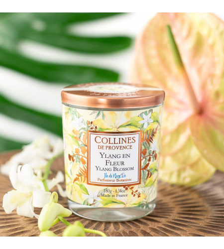 Bougie parfumée Ylang Ylang - Collines de Provence · 180g