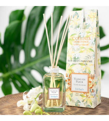 Diffuseur Ylang Ylang - Collines de Provence