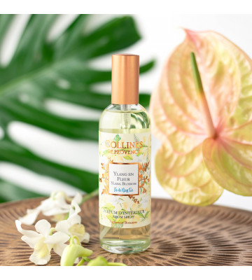 Parfum d'intérieur Ylang Ylang · Collines de Provence · 100ml