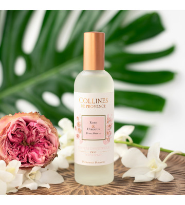 Parfum d'intérieur Yuzu des Iles · Collines de Provence · 100ml