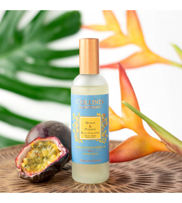 Parfum d'intérieur Yuzu des Iles · Collines de Provence · 100ml