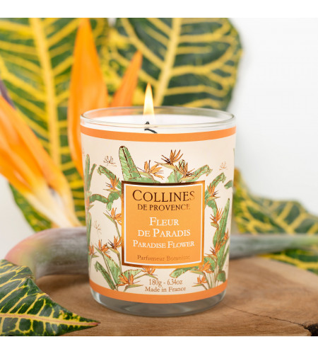 Bougie parfumée · Fleurs de Paradis · Collines de Provence · 180g